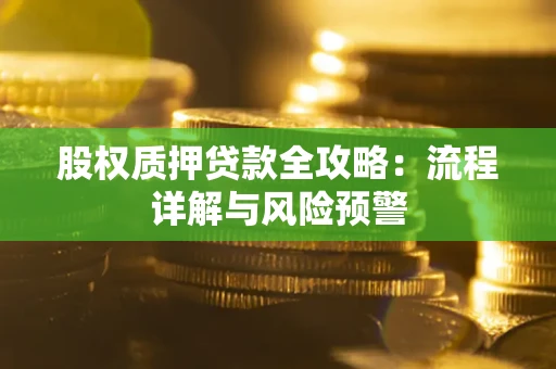 武汉股权质押贷款全攻略：流程详解与风险预警