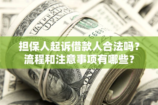 武汉担保人起诉借款人合法吗？流程和注意事项有哪些？