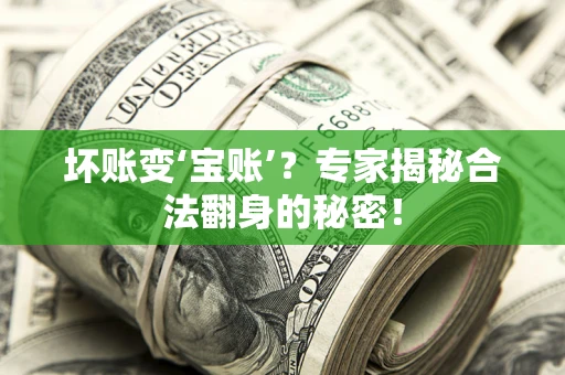 武汉坏账变‘宝账’？专家揭秘合法翻身的秘密！
