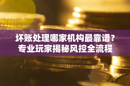 武汉坏账处理哪家机构最靠谱？专业玩家揭秘风控全流程
