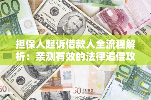 武汉担保人起诉借款人全流程解析：亲测有效的法律追偿攻略
