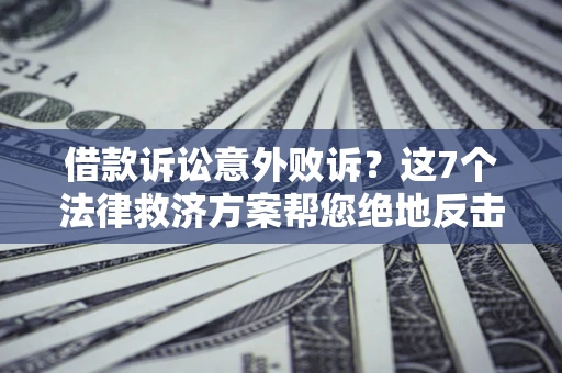 武汉借款诉讼意外败诉？这7个法律救济方案帮您绝地反击！