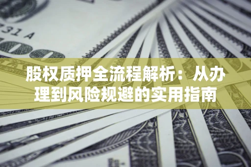 武汉股权质押全流程解析：从办理到风险规避的实用指南