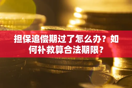 武汉担保追偿期过了怎么办？如何补救算合法期限？