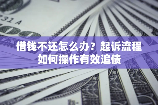 武汉借钱不还怎么办？起诉流程如何操作有效追债