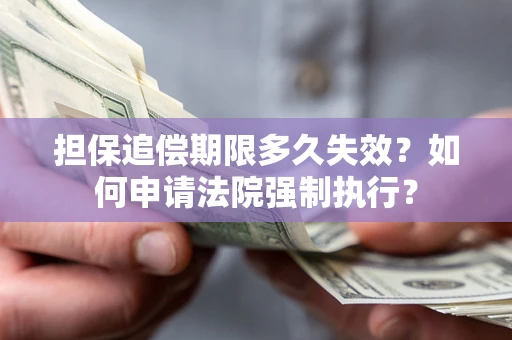 武汉担保追偿期限多久失效？如何申请法院强制执行？