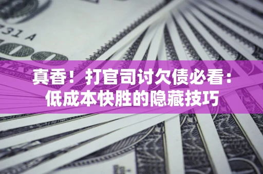 武汉真香！打官司讨欠债必看：低成本快胜的隐藏技巧