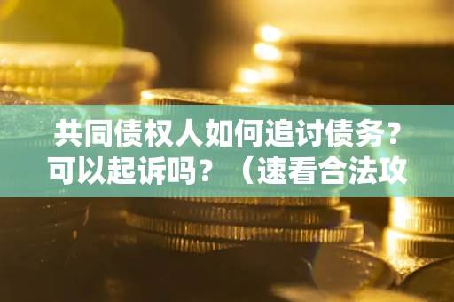 武汉共同债权人如何追讨债务？可以起诉吗？（速看合法攻略）