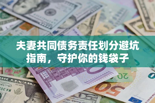 武汉夫妻共同债务责任划分避坑指南，守护你的钱袋子