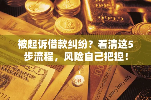 武汉被起诉借款纠纷？看清这5步流程，风险自己把控！