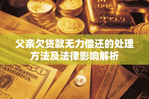 武汉父亲欠贷款无力偿还的处理方法及法律影响解析