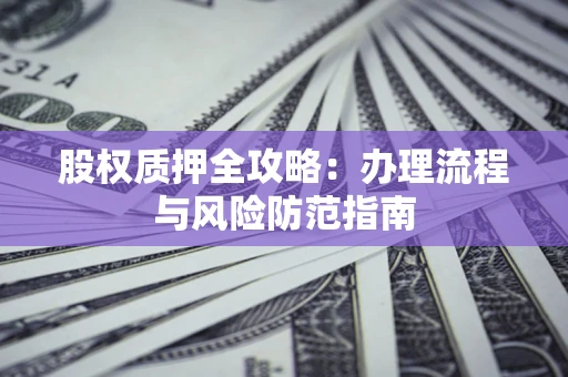 武汉股权质押全攻略：办理流程与风险防范指南