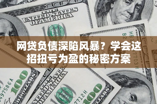 武汉网贷负债深陷风暴？学会这招扭亏为盈的秘密方案