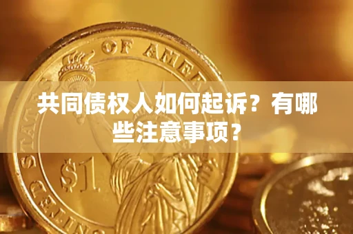 武汉共同债权人如何起诉？有哪些注意事项？